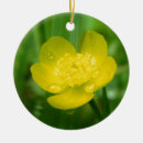 Search for dropping christmas tree decorations Droplets