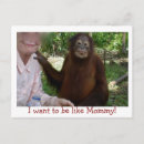 Search for primate postcards Wildlife