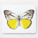 Search for one animal electronics Cute
