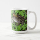 Search for bullfrog mugs Toad