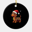 Search for wiener dog christmas tree decorations Animal