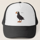 Search for puffin hats Bird
