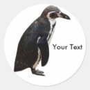 Search for black and white penguin stickers Funny