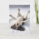 Search for snow angel christmas cards Dog
