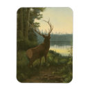 Search for views magnets Nature