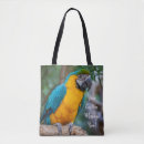 Search for macaw bags Ara ararauna
