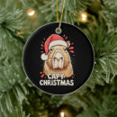 Search for rodent christmas tree decorations Santa