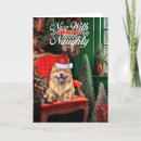 Search for chow chow christmas cards Chows