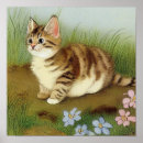 Search for vintage kitten posters Funny