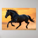 Search for stallion posters Wall