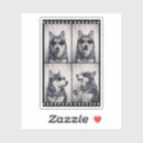 Search for husky dog stickers Black and white