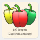 Search for pepper stickers Bell peppers