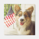 Search for corgis magnets Puppy
