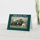 Search for funny co worker seasonal cards Veterinarian
