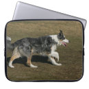 Search for bob electronics Collie border