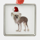 Search for chinese crested dog christmas tree decorations Dogs