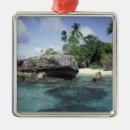 Search for rock formation christmas tree decorations Tropical
