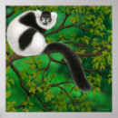 Search for black and white monkey art Animals