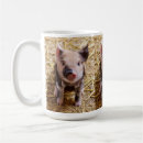 Search for baby pig mugs Animal