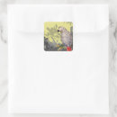 Search for african grey stickers Animals