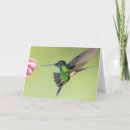 Search for incas cards Bird