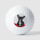 Search for frenchie photography French bulldogs