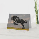 Search for friesians cards Black horses