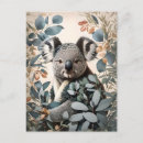Search for cute koala postcards Outback