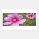 Search for cosmos flower stickers Pink