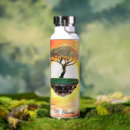 Search for acacia tree Sunset