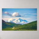 Search for surround posters Forest