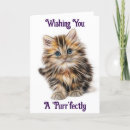 Search for kitten birthday cards Cute