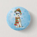 Search for greyhound badges Iggy