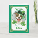 Search for american pit cards Pittie