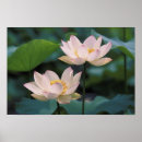 Search for hangzhou art Blossom