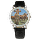Search for farming watches Livestock