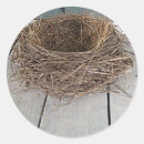Search for nesting stickers Bird nest