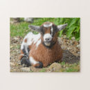 Search for dairy farm puzzles Animal