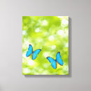 Search for butterfly canvas prints Animal