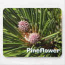 Search for pine cone mousepads Green