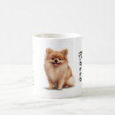 Search for pomeranian mugs Animals