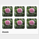 Search for pink dahlia stickers Flower