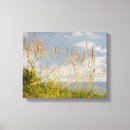 Search for sea oat art Water