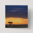 Search for panoramic badges Landscape