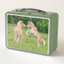 Search for horse lunch boxes Funny