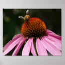 Search for buzz art Flower
