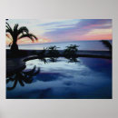 Search for baja art Sea
