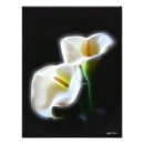 Search for callas art Modern