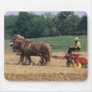 Search for amish electronics Horse