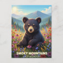 Search for smokey postcards Scenic